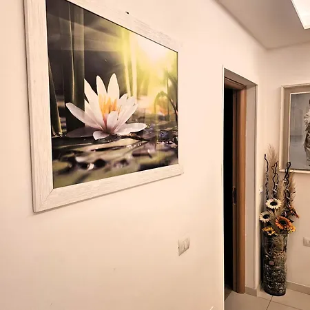 بيت ضيافة Casa Brajan